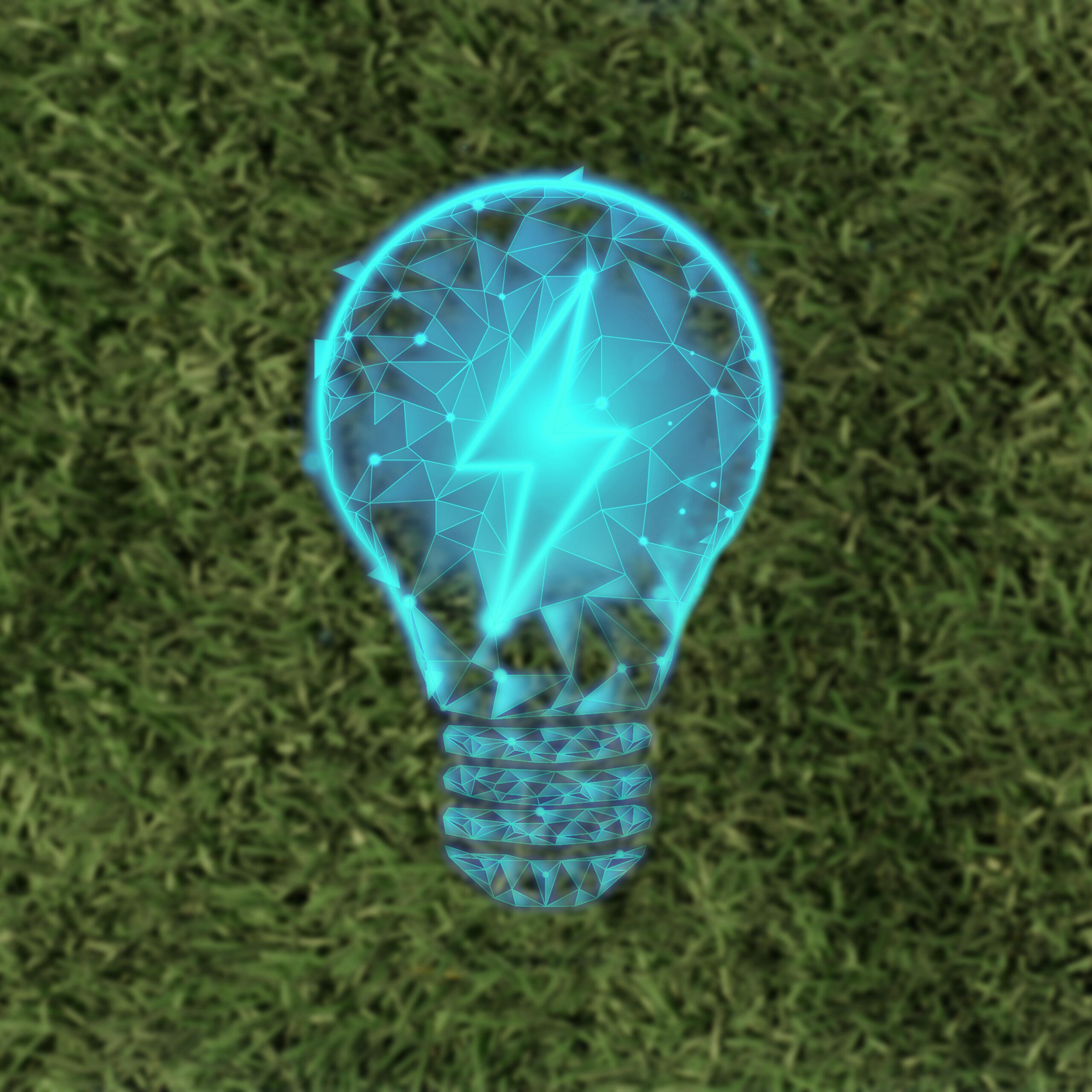 subentro luce gas come si fa online