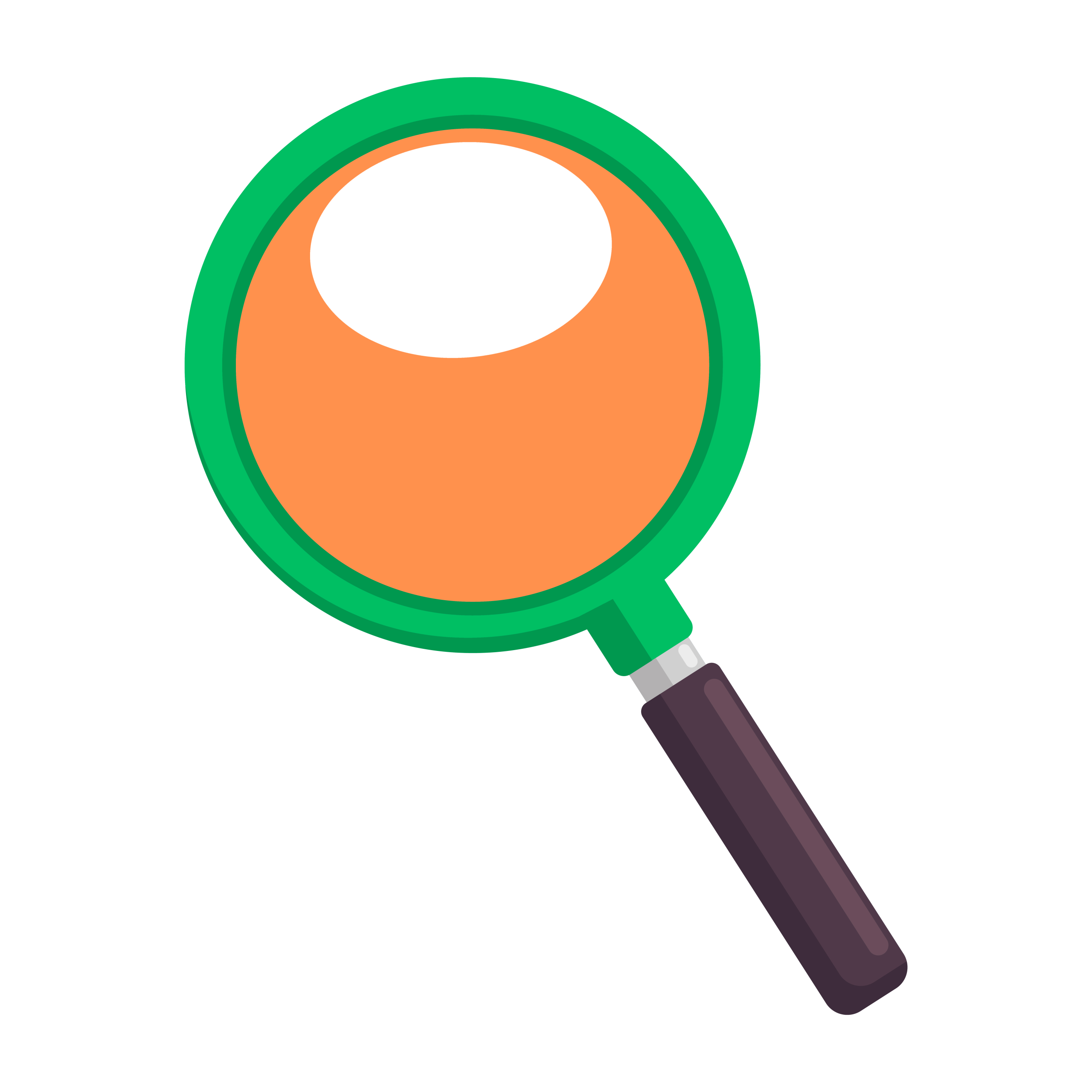 lente PNG compara WEBP